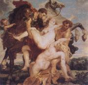 Peter Paul Rubens The Rape of the Daughters of Leucippus china oil painting artist